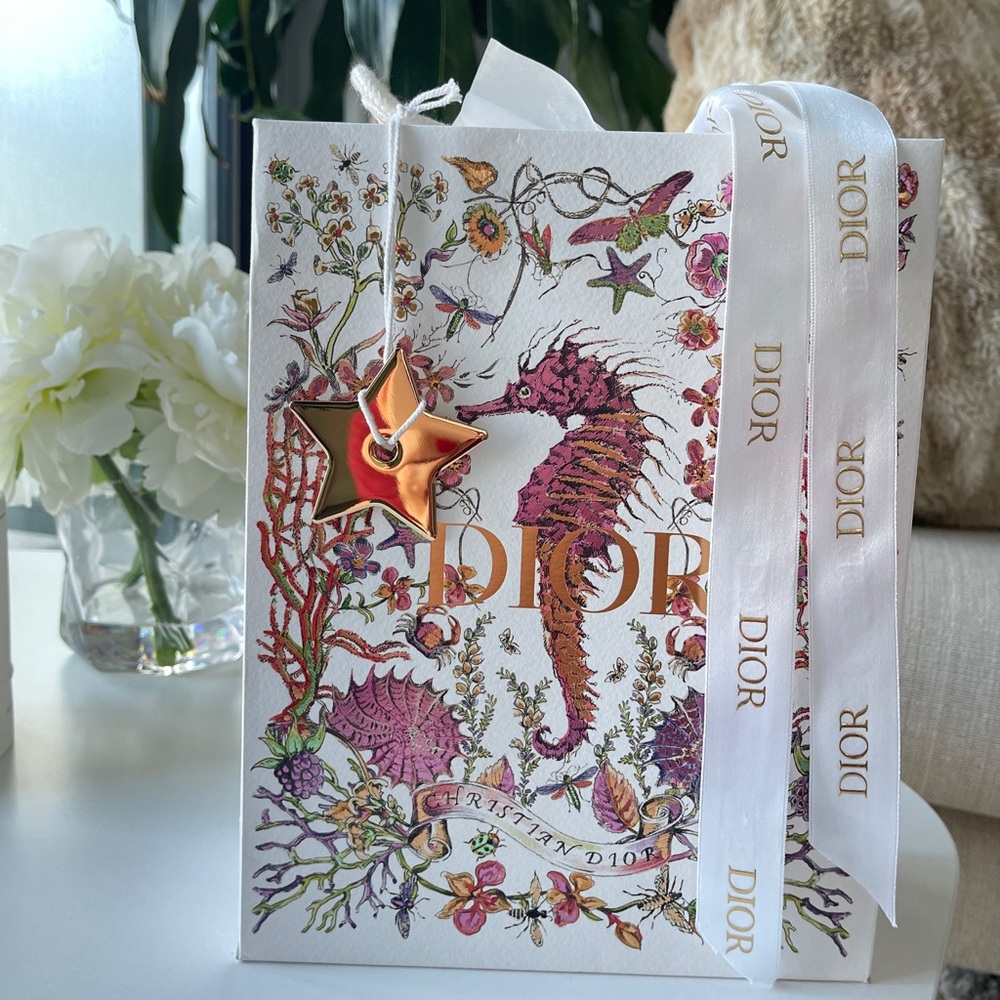 Holiday Collection Dior Paper Bag